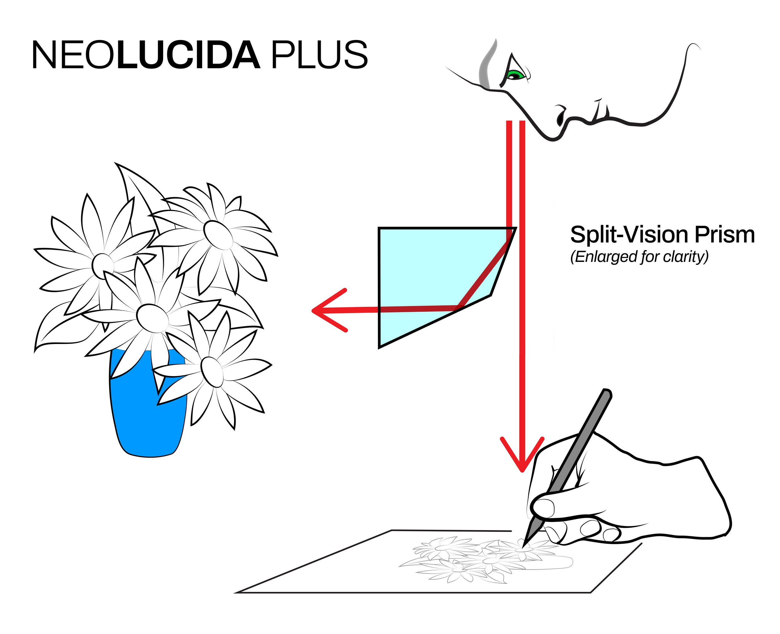 The NeoLucida Project — NeoLucida